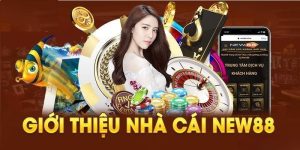 Giao diện của NEW88 luôn cuốn hút người chơi 