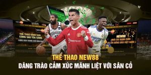 New88 - Dịch vụ thể thao chất lượng